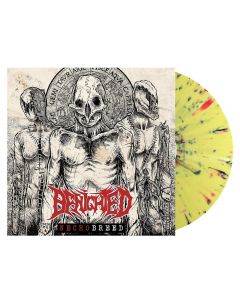 BENIGHTED - Necrobreed - LP - Splatter