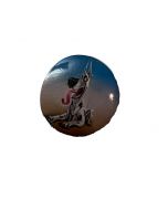 TANKARD - Pavlovs Dawg - thirsty dog - Button / Anstecker